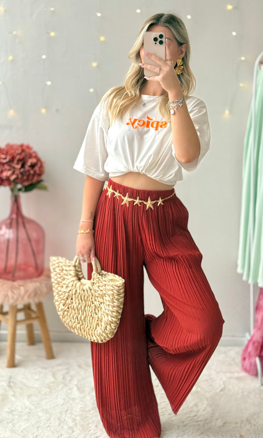 Pantalon plissé (36-50) MARIA 🇮🇹